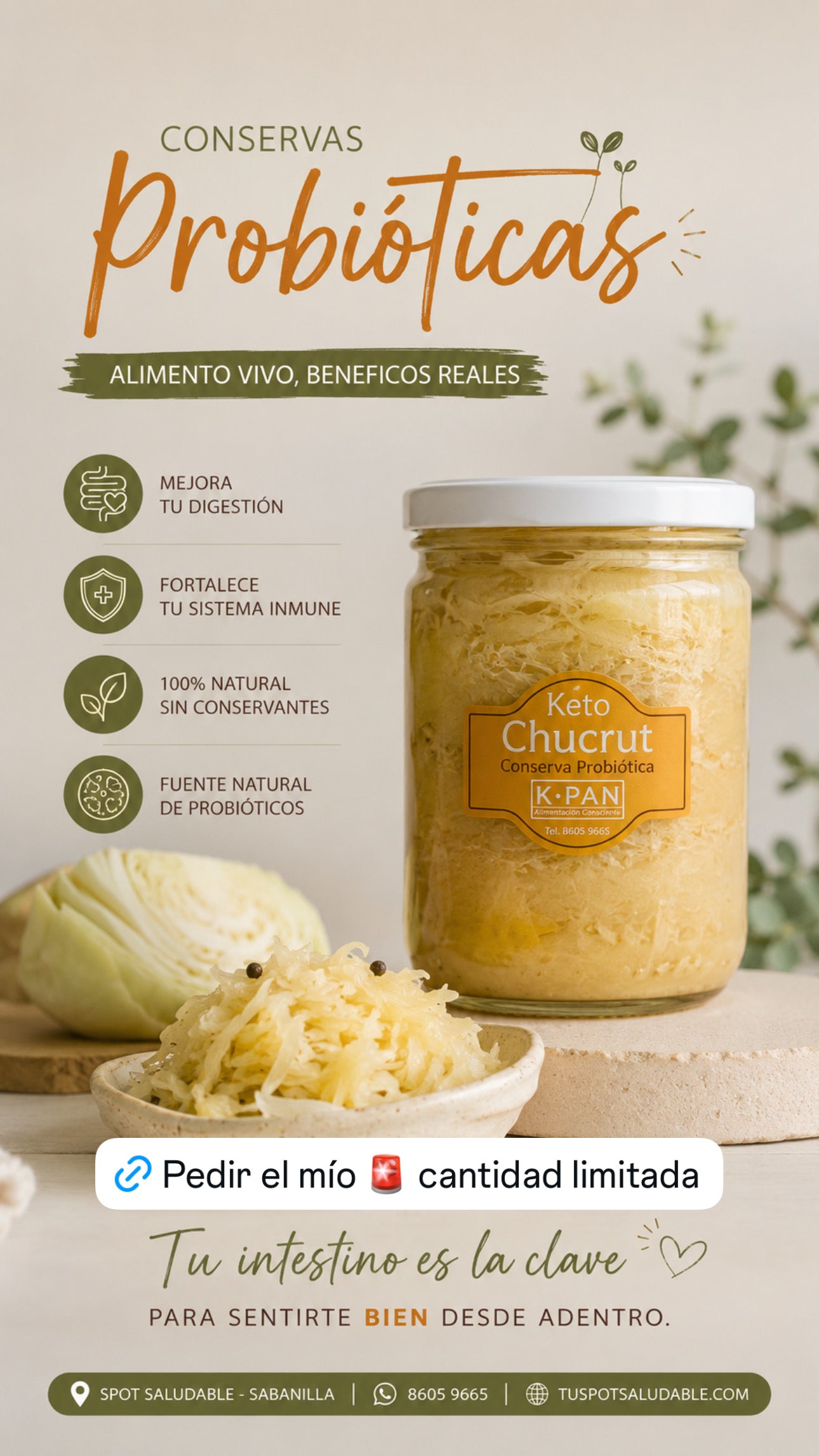 Conservas Probióticas (Pepinillos y chucrut) KPan