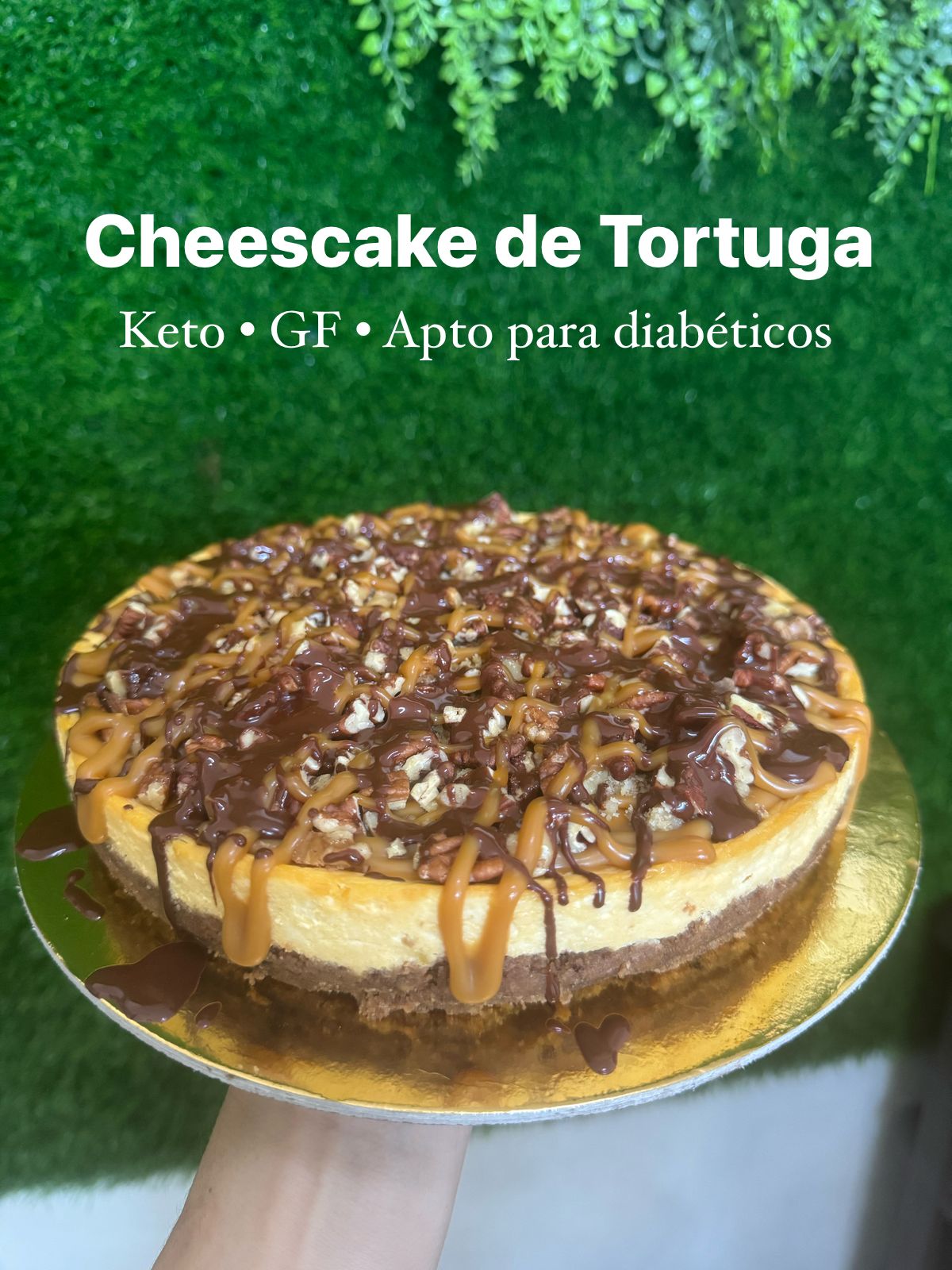 Cheesecake de tortuga porción Kpan