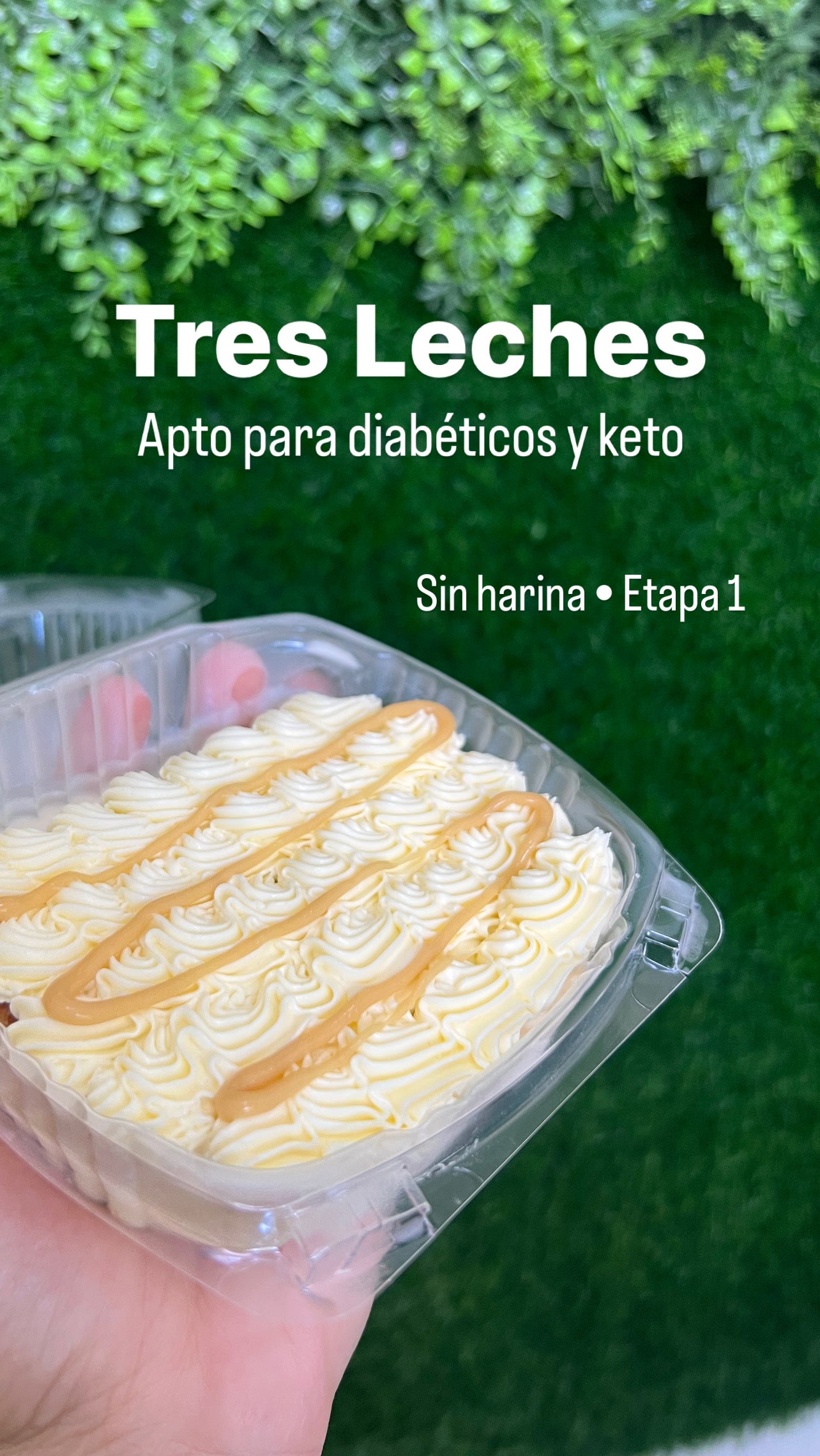 Tres leches Keto KPan