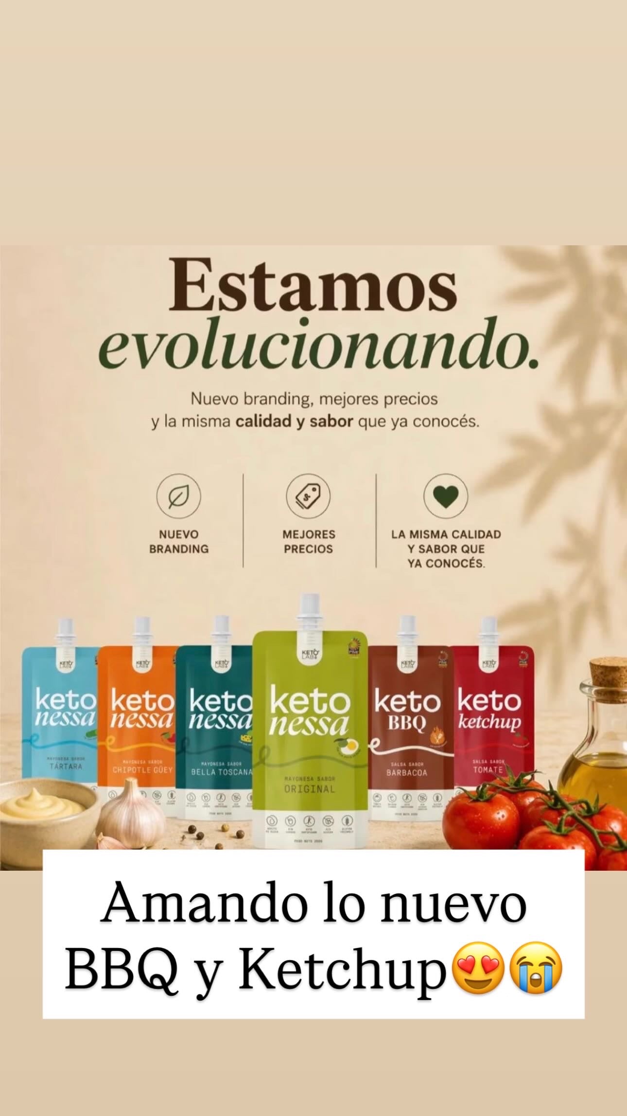 Ketonessa Aderezos Saludables