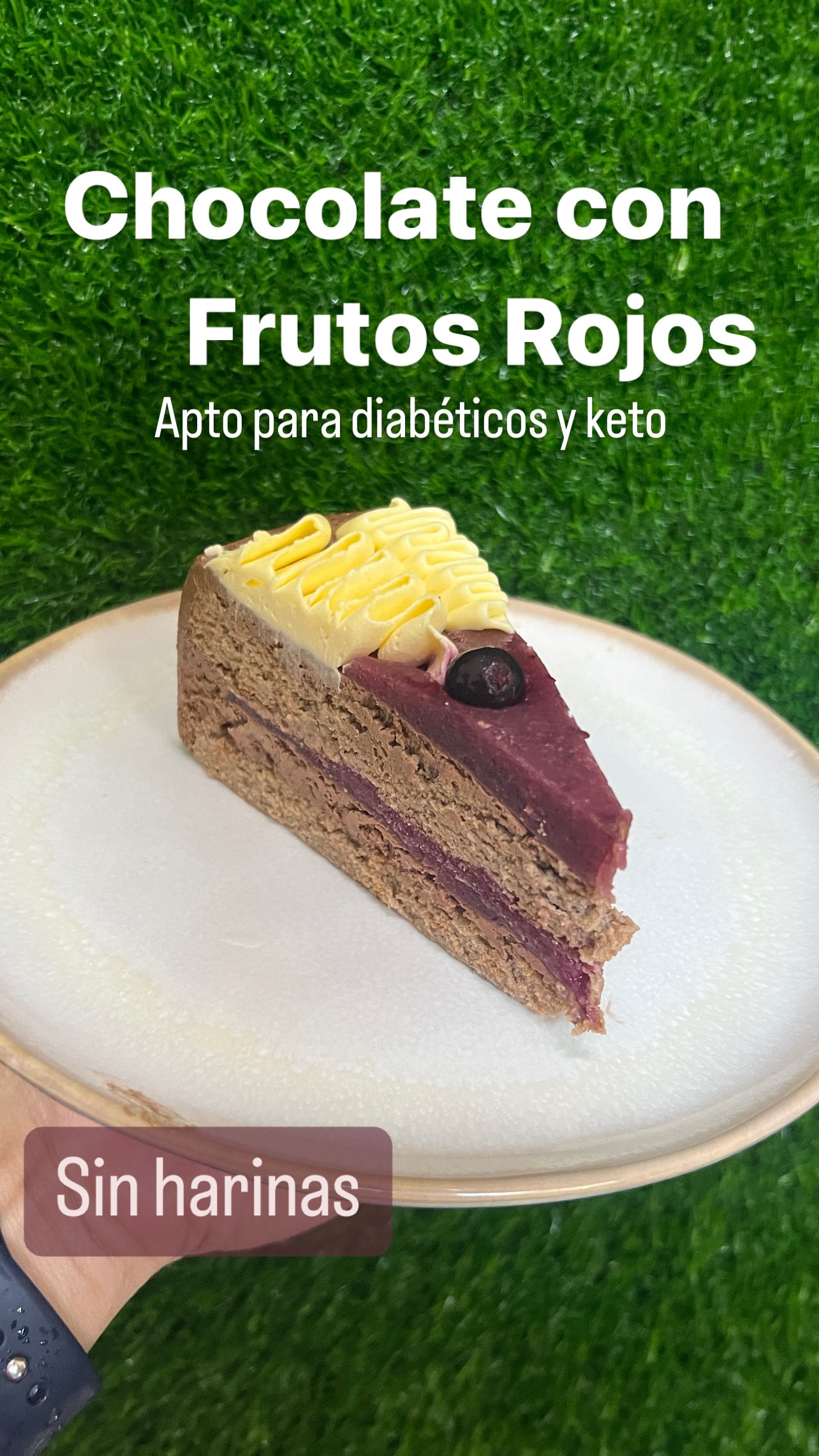 Torta Choco Frutos Rojos Porción KPan Sin harina