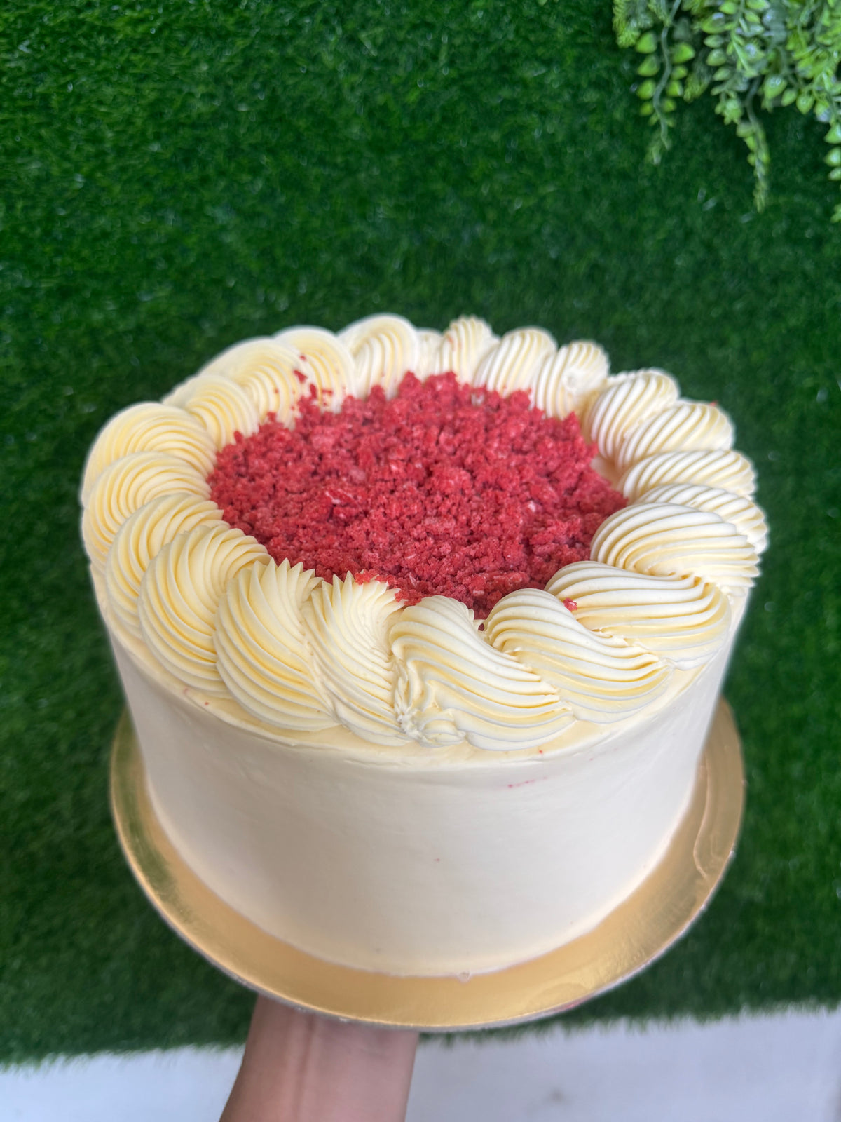 Red velvet Sugar & GF