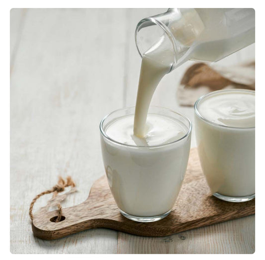 Kefir Bebida Probiótica Keto Kpan