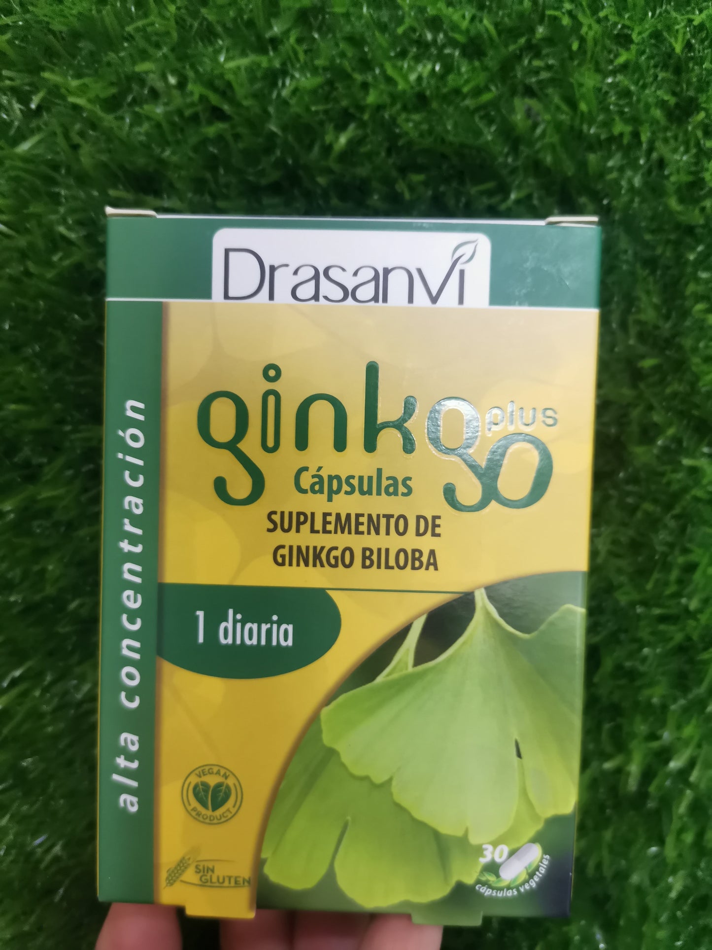 Cápsulas de Ginkgo Biloba