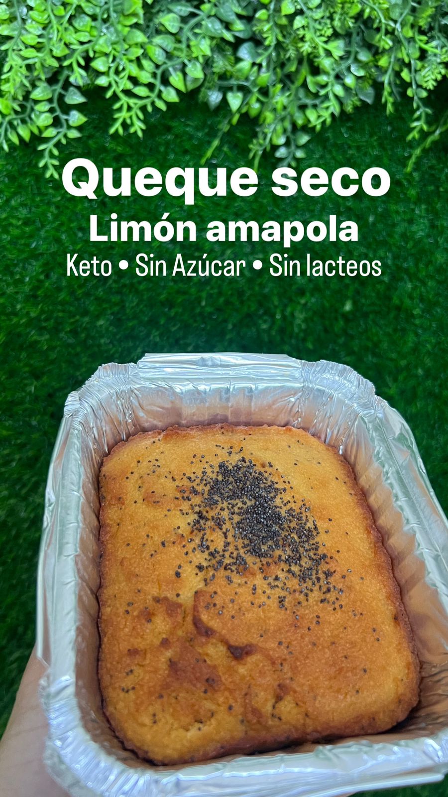 Queque seco Sin lactosa 250g KPan y 500g