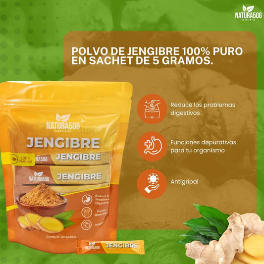 Jengibre en polvo 30 sachets Natura 506