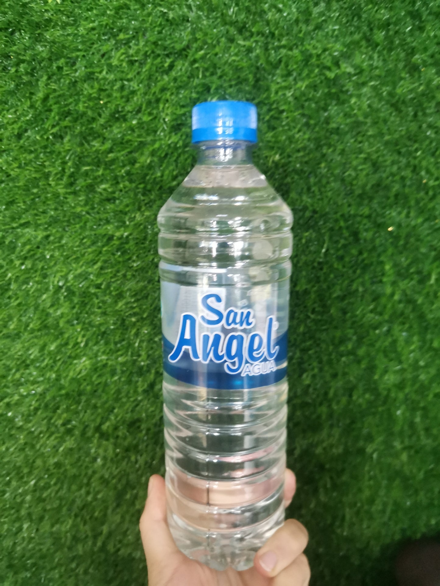 Agua embotellada San Angel 600ml